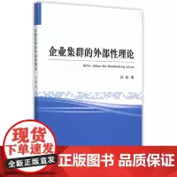 企业集群的外部性理论