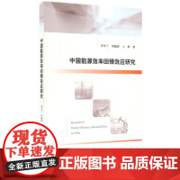 中国能源效率回弹效应研究