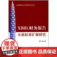 XBRL财务报告分类标准扩展研究