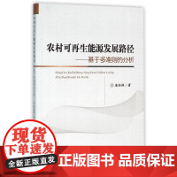 农村可再生能源发展路径——基于多准则的分析