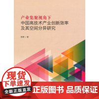 产业集聚视角下中国高技术产业创新效率及其空间分异研究