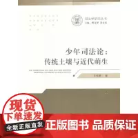 少年司法论:传统土壤与近代萌生(司法学研究丛书)