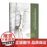 雪鹿(3-8岁) 信谊原创图画书