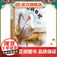 正版童书 日记(精装)(美慧树原创绘本)