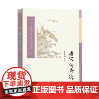 唐宋传奇选 张友鹤 人民文学出版社 正版书籍