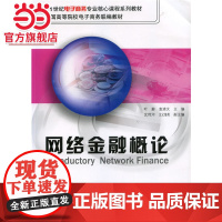 网络金融概论 9787301109700北京大学出版社正版图书