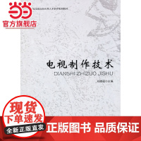 电视制作技术 9787301172780北京大学出版社正版图书
