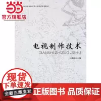 电视制作技术 9787301172780北京大学出版社正版图书