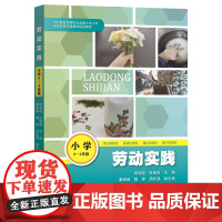 劳动实践(小学3-4年级)