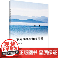 不同的风景相互注视