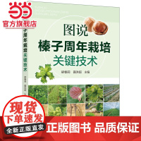 图说榛子周年栽培关键技术 梁春莉 化学工业出版社 正版书籍