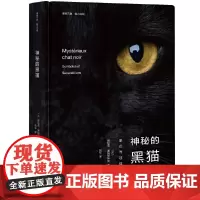 神秘的黑猫