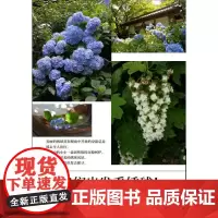 绿手指园艺花园MOOK·绣球号 FG武蔵 湖北科学技术出版社 正版书籍