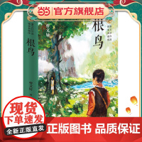 正版童书 根鸟 精装典藏版