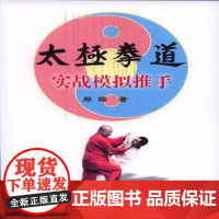 太极拳道实战模拟推手