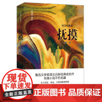 抚摸(鲁迅文学奖得主吕新经典成名作,先锋小说不朽名篇,抚摸生命与精神的伤口) 吕 花城出版社 正版书籍