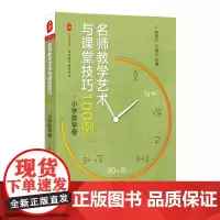 名师教学艺术与课堂技巧100例 小学数学卷 大夏书系