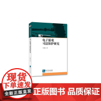 电子游戏司法保护研究 孙磊 知识产权出版社 正版书籍
