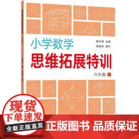 小学数学思维拓展特训 六年级下