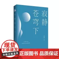 寂静苍穹下 李初初 九州出版社 正版书籍