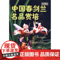 中国春剑兰名品赏培