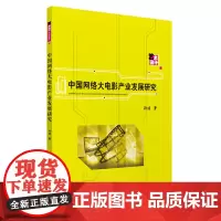 中国网络大电影产业发展研究