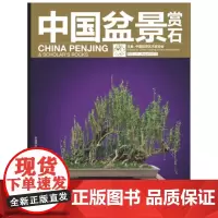 中国盆景赏石2012-8 中国盆景艺术家协会 中国林业出版社 正版书籍