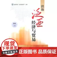 滇池泛亚经济与贸易