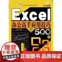 Excel办公高手应用技巧500例