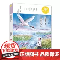 麒麟中国新文学少年读本·鹤舞少年
