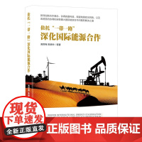 依托 一带一路 深化国际能源合作 高世宪 中国经济出版社 正版书籍