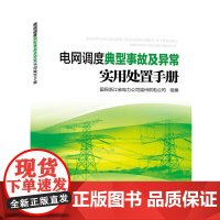 电网调度典型事故及异常实用处置手册