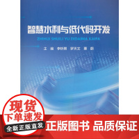 智慧水利与低代码开发