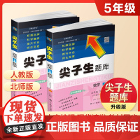 正版2024新版尖子生题库语文数学五年级5年级下册上下册人教版北师大版上册小学上北作业本拔尖特训应用练习训练上教材
