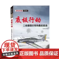 底板行动——二战德国空军的最后反击 张天骏 武汉大学出版社 正版书籍
