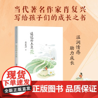 肖复兴写给青少年的成长书:遥远的土豆花