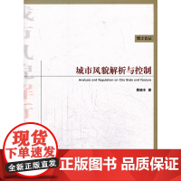 城市风貌解析与控制