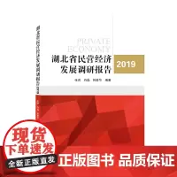 湖北省民营经济发展调研报告(2019)