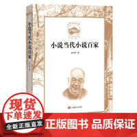 小说当代小说百家