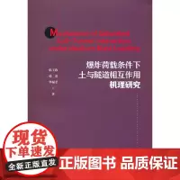 Mechanism of Saturated Soil-Tunnel Interaction under Med