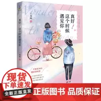 真好!这个时候遇见你 一水间 台海出版社 正版书籍