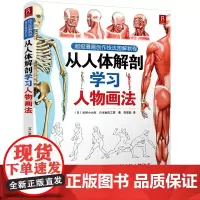 「人体结构」从人体解剖学习人物画法 漫画人物画法完全解析 动态捕捉/肌肉骨骼透视技法 职业漫画家进阶教程 正版书籍