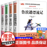 全套4册 六年级的课外书下册原著完整版鲁滨逊漂流记正版 爱丽丝漫游奇境 尼尔斯骑鹅旅行记汤姆索亚历险记快乐读书吧阅读