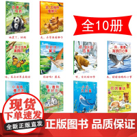 小笨熊小笨熊科普童话绘本馆全10册 神奇动物绘本 获奖大师原创科普绘本 3-6岁