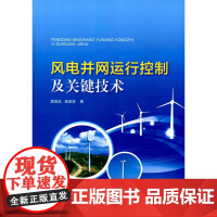 风电并网运行控制及关键技术
