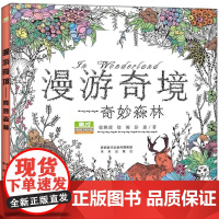 漫游奇境—奇妙森林