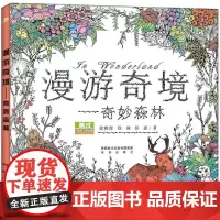 漫游奇境—奇妙森林