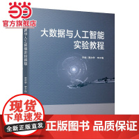 大数据与人工智能实验教程 高等院校大数据与人工智能相关专业规划教材 姜亦学等著