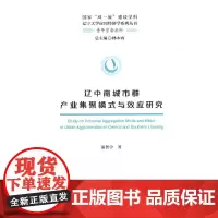 辽中南城市群产业集聚模式与效应研究