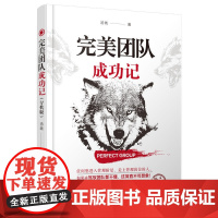 完美团队成功记
